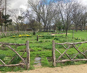 Cedar Brook Park 